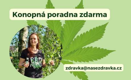 Kopie návrhu Návrh bez názvu (6)